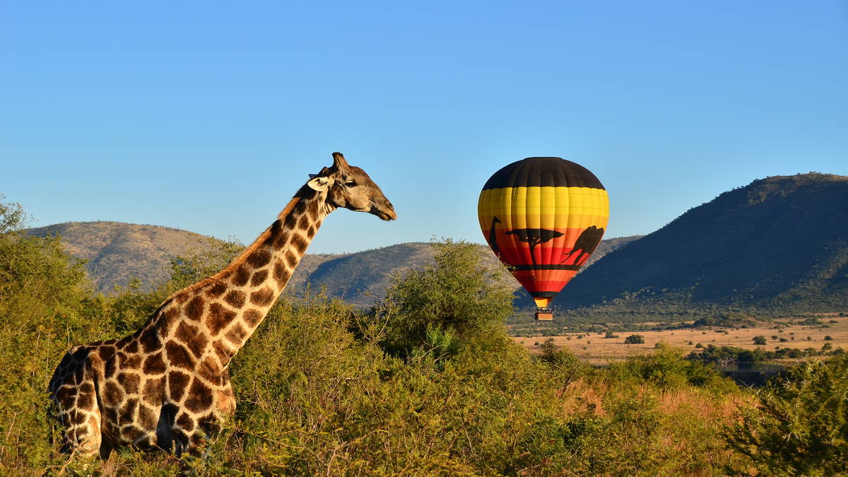 Hot air balloon safari Pilanesberg